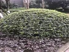 经开区 山千院西苑三房