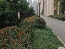 汽博中心 松龙国际四房