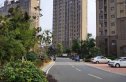 荣盛莉湖春晓实景图