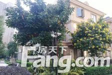 世茂上游墅二期 1室1厅 南