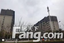 双拼别墅带大院子,楼层好,全天采光,房子格局合理