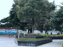 满五不唯一,税费便宜,拎包入住。