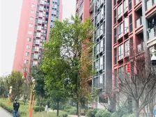 出小区就是公园,精装三房,业主急售