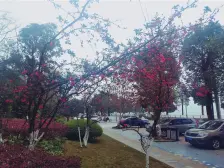 经开区 美每家南滨上院三房