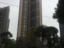 楼层好,采光好,户型方正,装修保养好