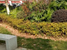 现代城假日花园 1房1厅1卫 60㎡