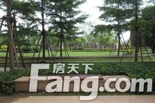 融侨外滩D区 高层 好江景 身份的象征