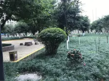 冉家坝 佳居花园B区三房95万