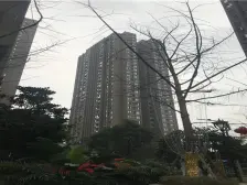 冉家坝 安泰城市理想一房50万