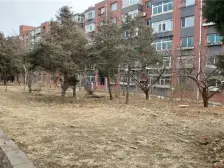 泡崖五区,南北通厅,中间楼层,落地窗