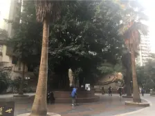 解放碑商圈 洪崖洞 一号桥 小户型 小区房