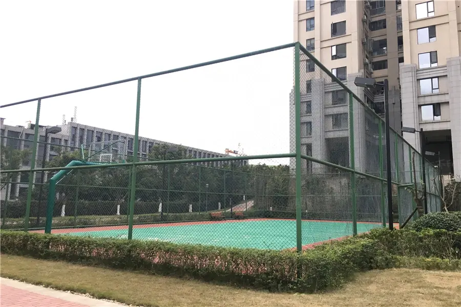 实景图