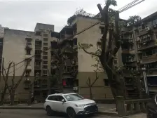 电梯房 品质好 业主安心 旁边是BS