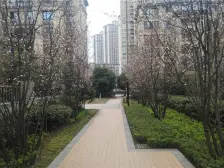 北大资源博雅二期 3室2厅 东北