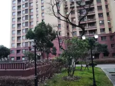 近万达三房,方正户型,电梯房小区新