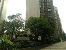 家电齐全,宽敞明亮,布局大方,采光非常好6.轩敞设计户型各区