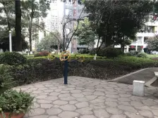 仁安龙城国际二期 2室2厅 东南