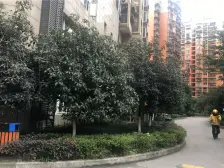 业主急卖清水正规两房 ,配套齐全,出行购物方便