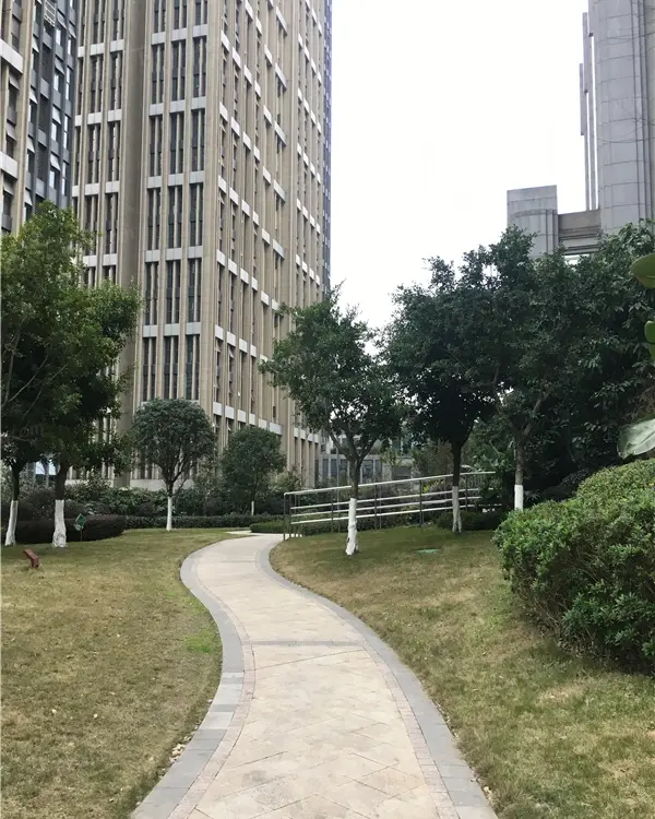 实景图