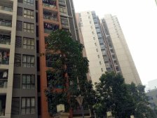 假日花园满五唯一 通风采光好 楼下就是地铁