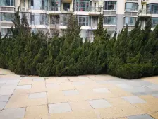 装修修全明户型,保持好,客厅挑高4米多,宽敞明亮