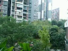 汽博中心 奥林匹克花园五期一房65万