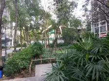 亚太商谷二期三期 1室1厅 南