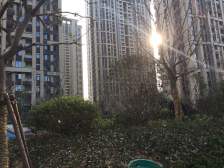 次新小区 阳光两居 南向 中间好楼层 近地铁!