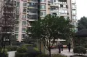 蓝巢逸品实景图