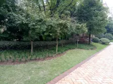 龙湖U城四组团 安静位置 带80平地下室 门口天街和轻轨