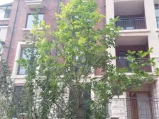 银亿上尚城品质下叠 湿地公园四号地铁口 省财政厅新洪大旁