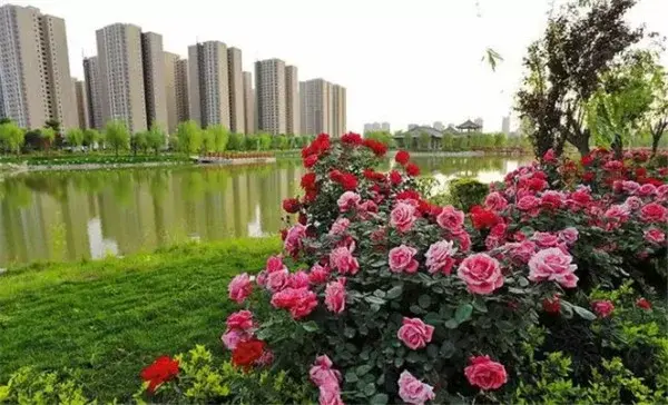 房产查封程序是怎样 房产查封条件有哪些 手机房天下知识